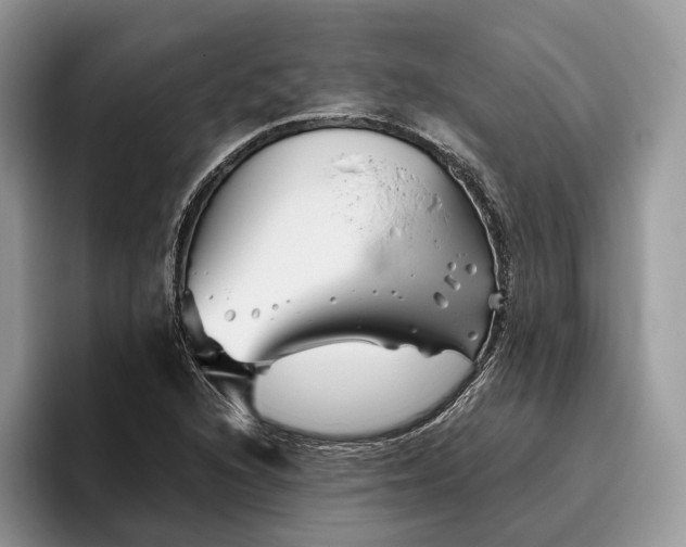X0000095931216200801251043