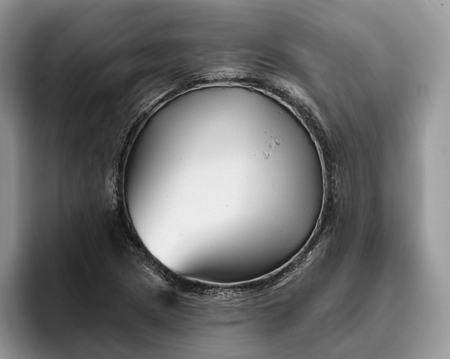 X0000095931217200801251043