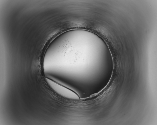 X0000095931218200801251043