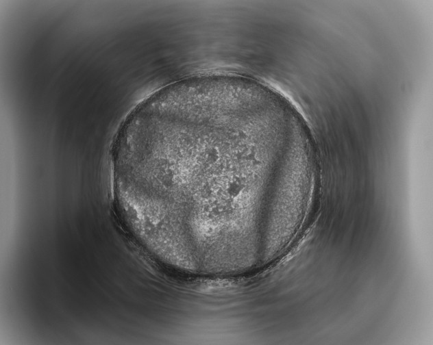 X0000095931219200801251043