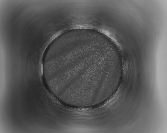 X0000095931221200801251043