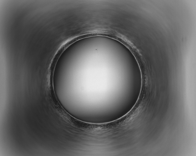 X0000095931222200801251043