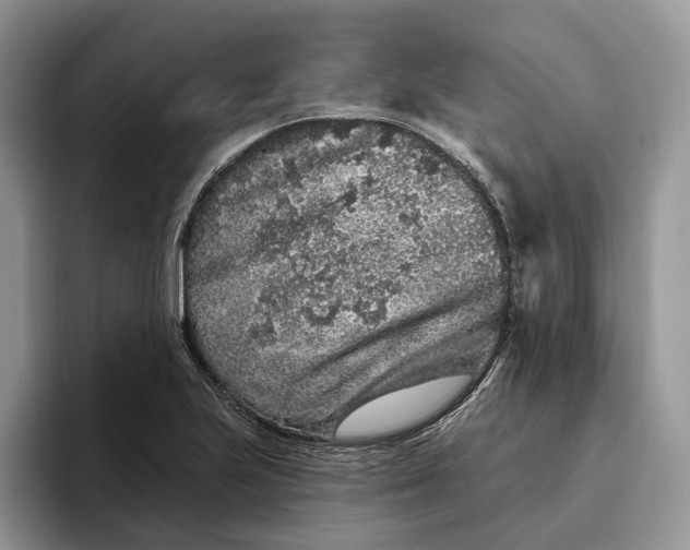 X0000095931223200801251043