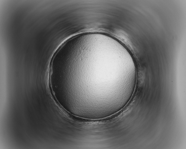 X0000095931228200801251043