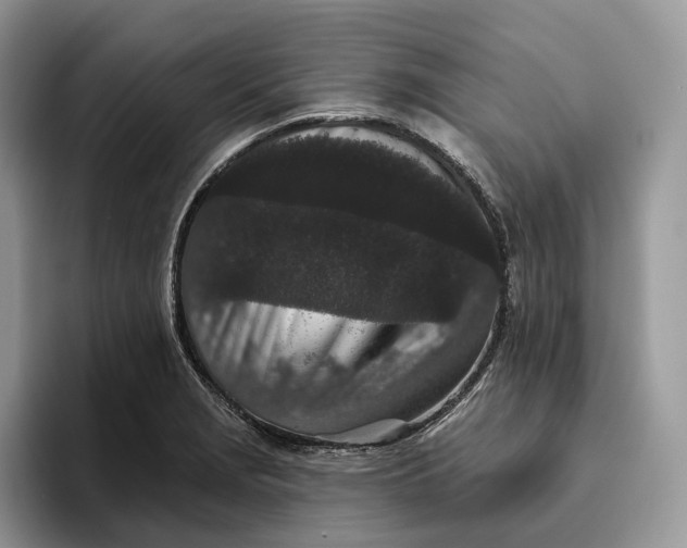 X0000095931229200801251043