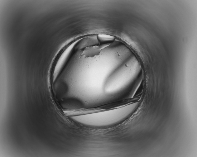 X0000095931230200801251043