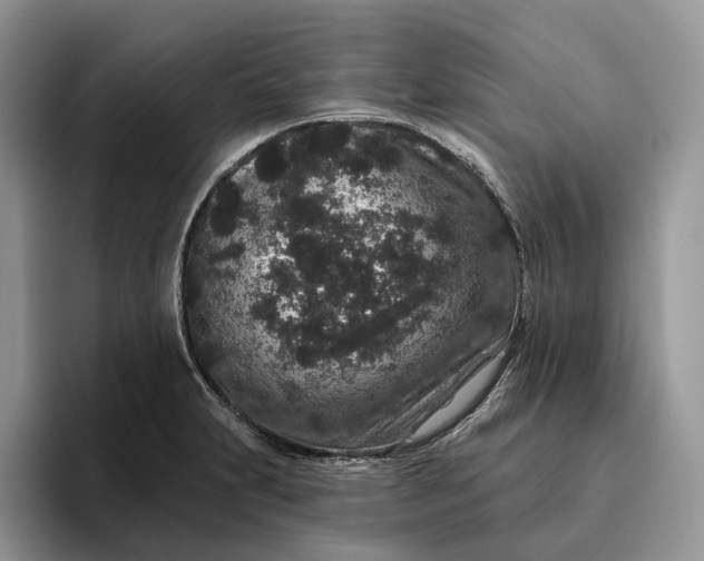 X0000095931231200801251043