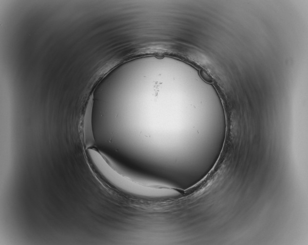X0000095931233200801251043