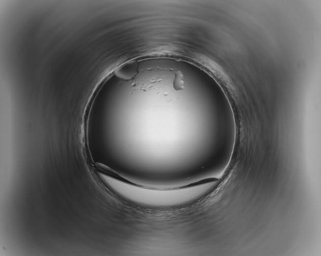 X0000095931234200801251043