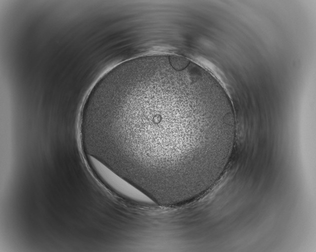 X0000095931235200801251043