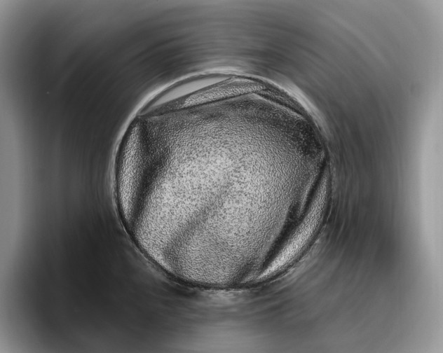 X0000095931240200801251043