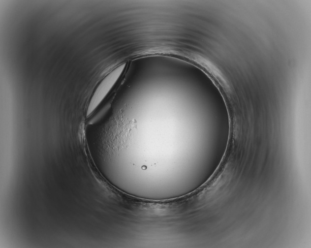 X0000095931241200801251043