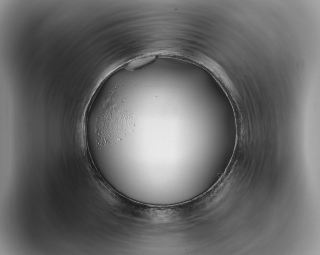 X0000095931242200801251043