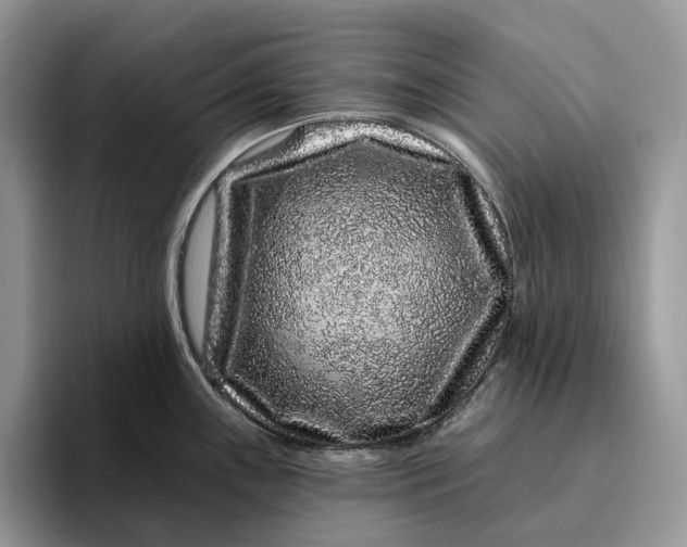 X0000095931243200801251043