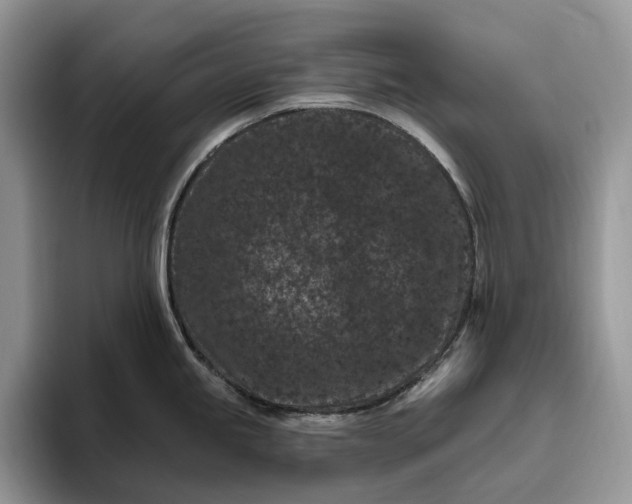 X0000095931245200801251043