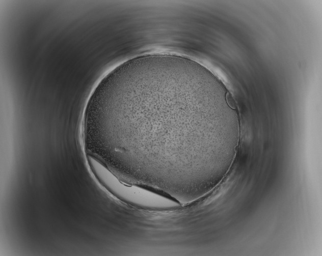 X0000095931247200801251043
