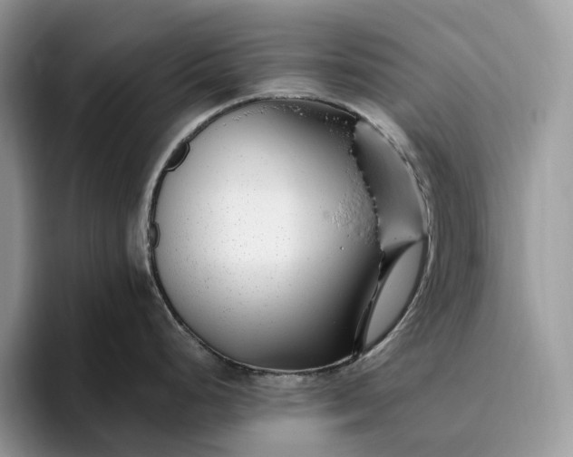 X0000095931248200801251043