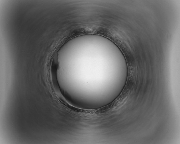 X0000095931249200801251043
