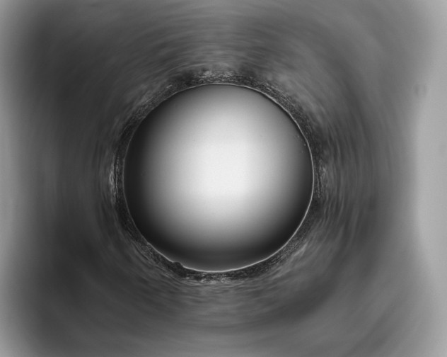 X0000095931250200801251043