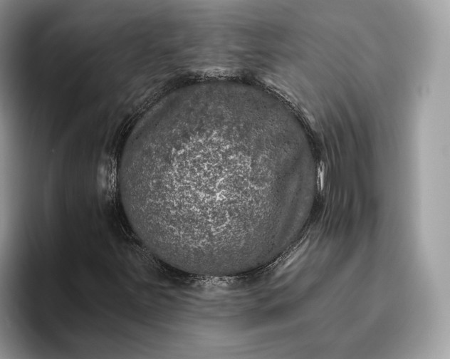 X0000095931251200801251043