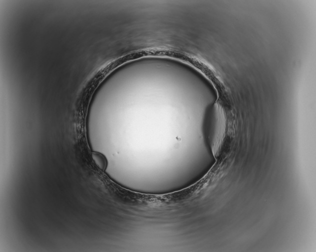X0000095931255200801251043