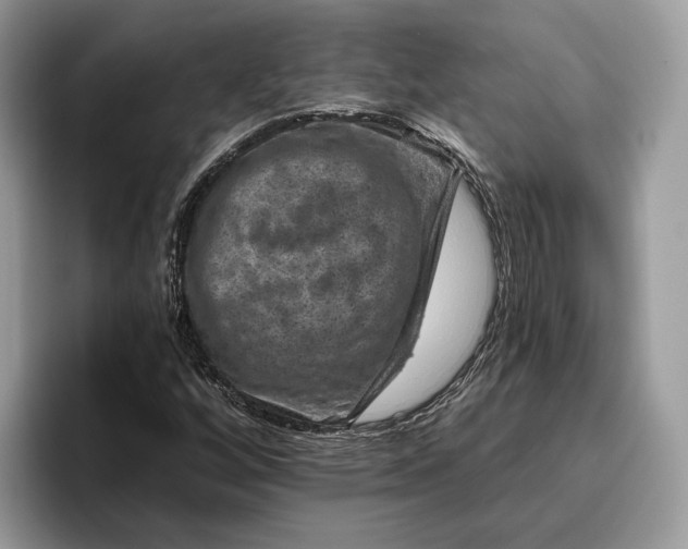 X0000095931256200801251043