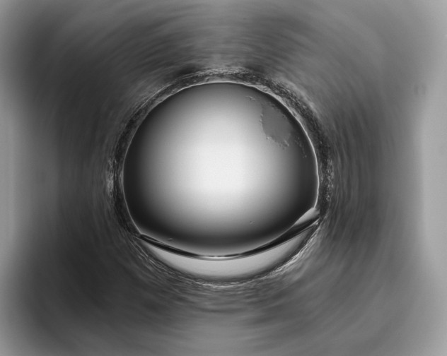 X0000095931257200801251043