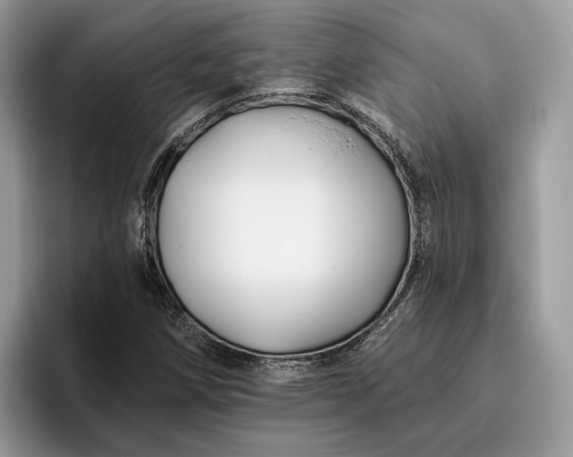X0000095931258200801251043