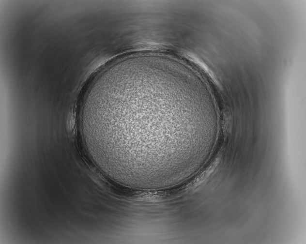 X0000095931259200801251043