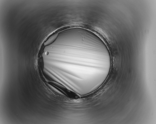 X0000095931260200801251043