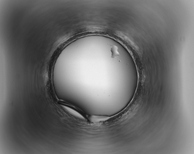 X0000095931261200801251043