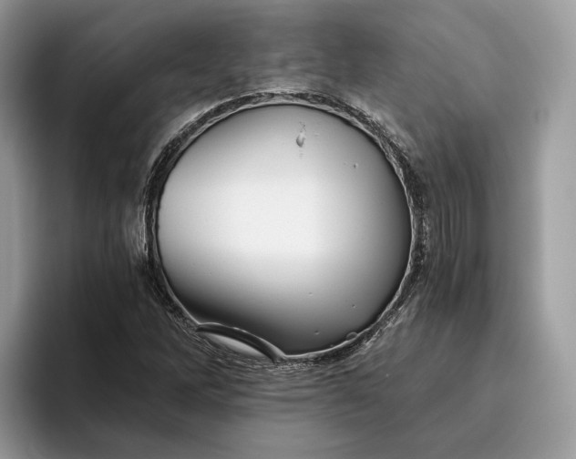 X0000095931262200801251043