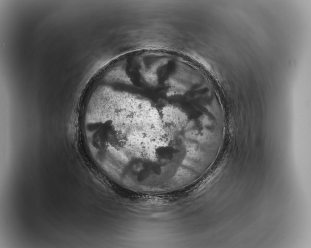 X0000095931263200801251043