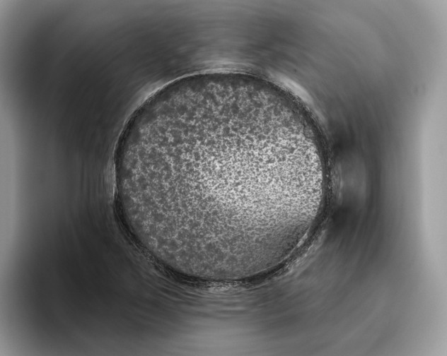 X0000095931267200801251043
