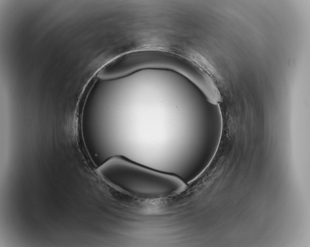X0000095931268200801251043