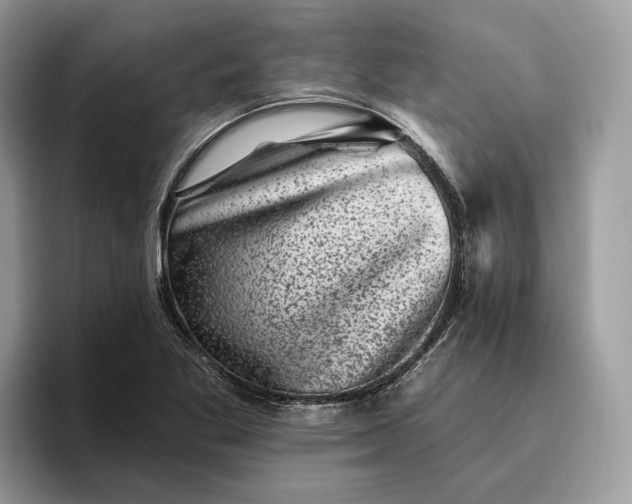 X0000095931269200801251042