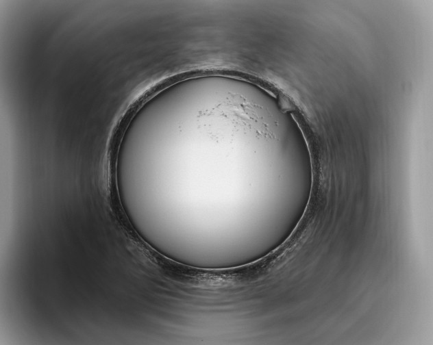 X0000095931270200801251042