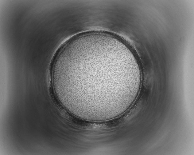 X0000095931271200801251042