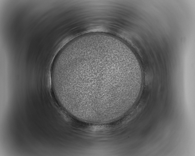 X0000095931274200801251042