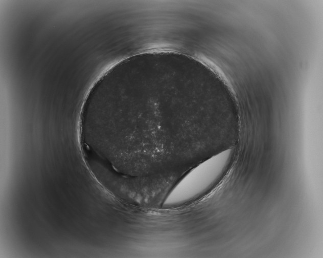 X0000095931277200801251042