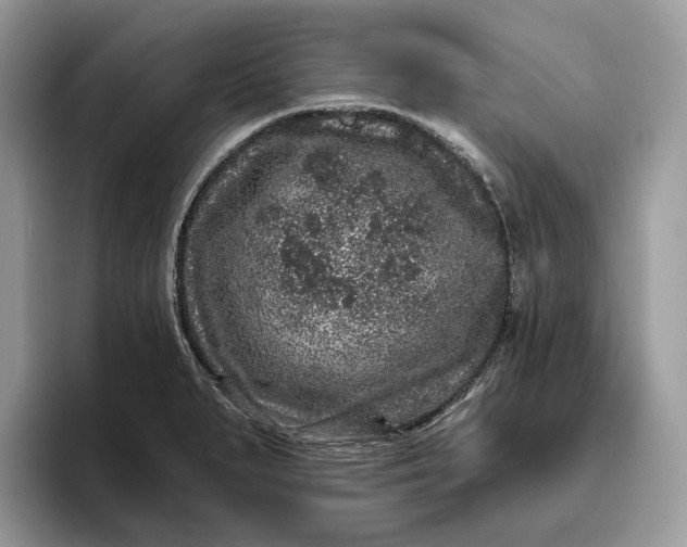 X0000095931279200801251042