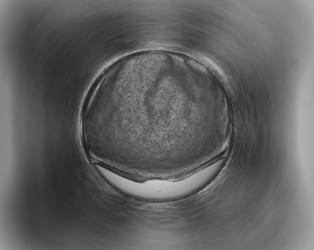 X0000095931280200801251042