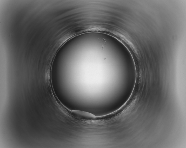 X0000095931281200801251042