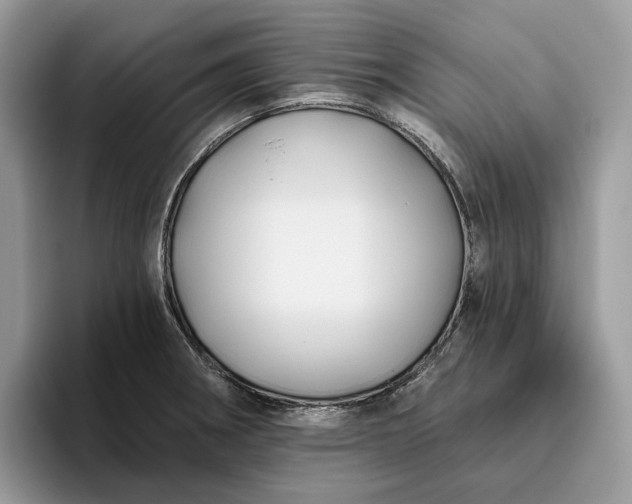 X0000095931282200801251042