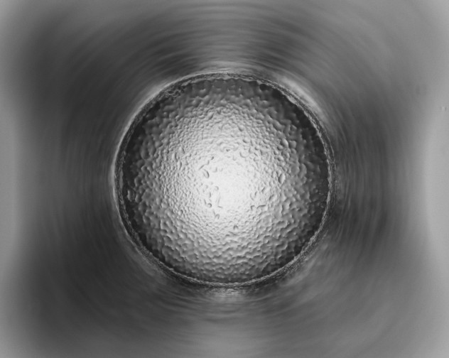 X0000095931283200801251042