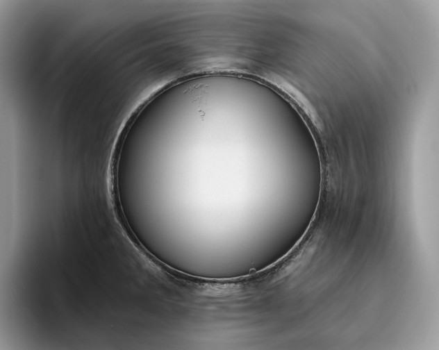 X0000095931285200801251042