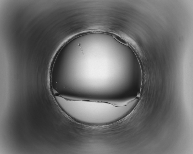 X0000095931288200801251042