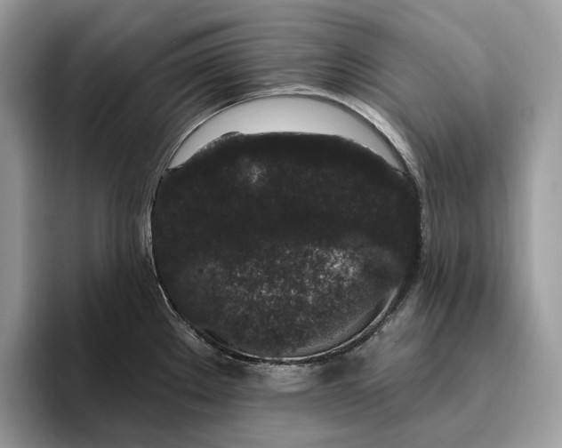 X0000095931289200801251042