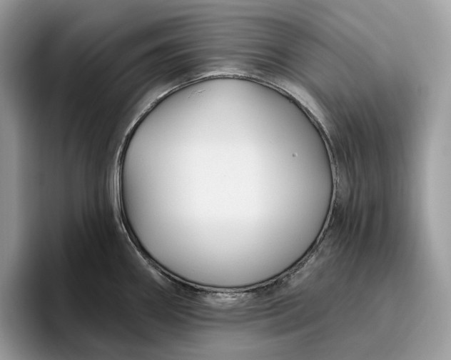 X0000095931290200801251042