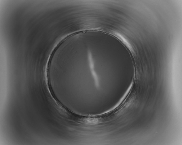 X0000095931291200801251042